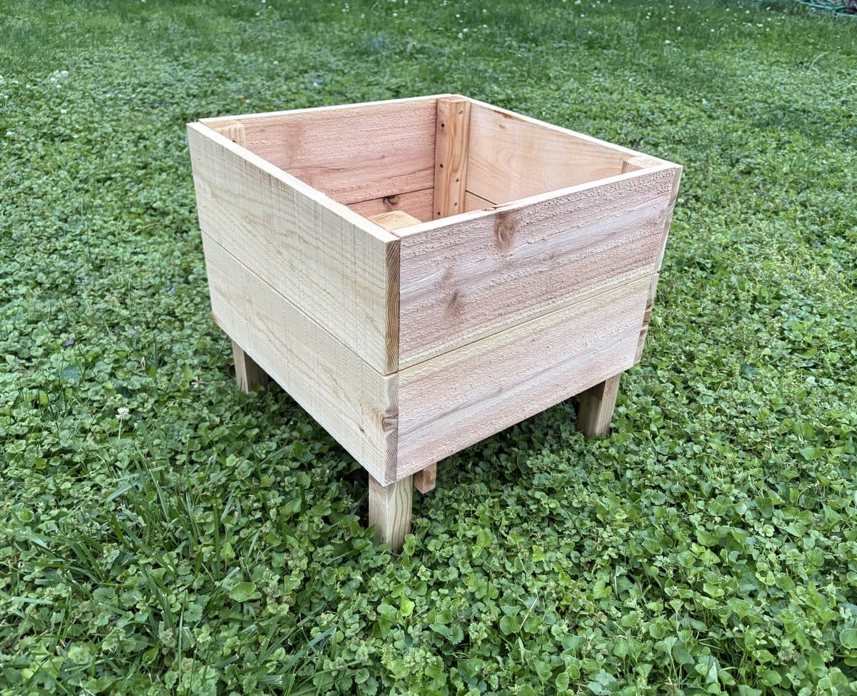 The Sprout view 2