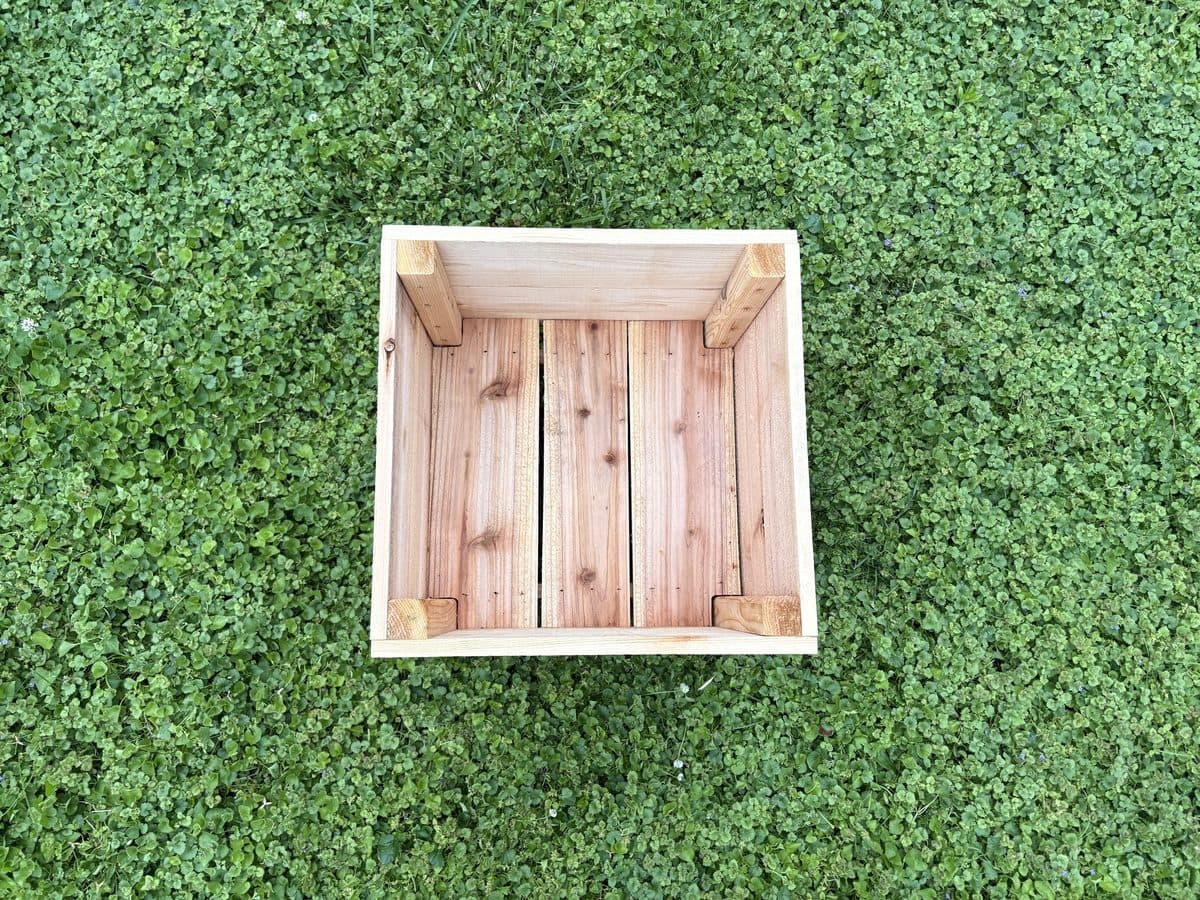 The Sprout view 3